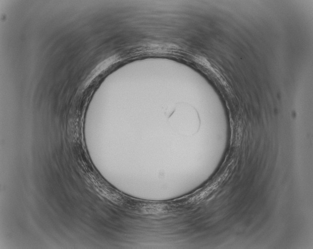 X0000081601211200702051321