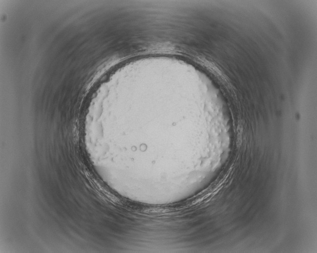 X0000081601212200702051321