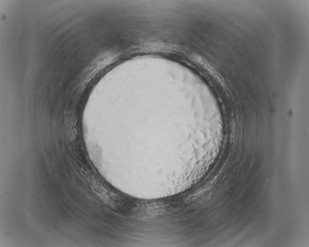 X0000081601213200702051321