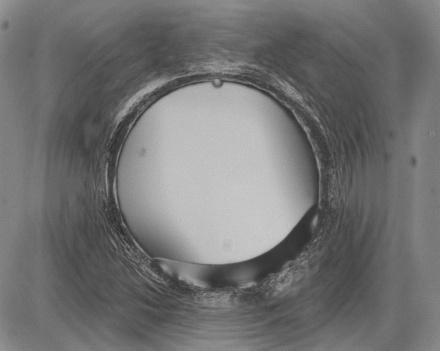 X0000081601214200702051321