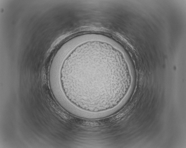 X0000081601215200702051321