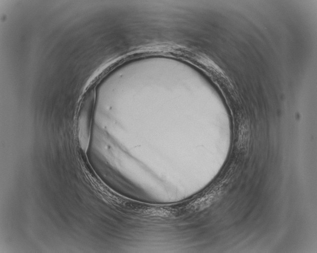 X0000081601216200702051321