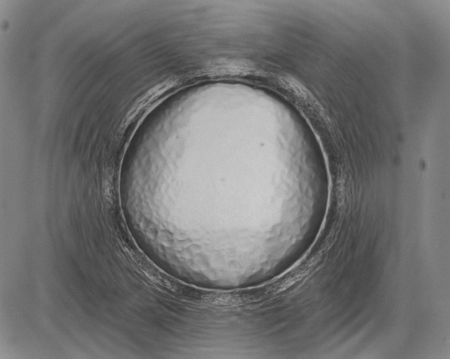 X0000081601217200702051321