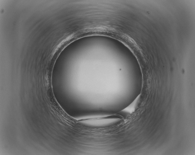 X0000081601218200702051321