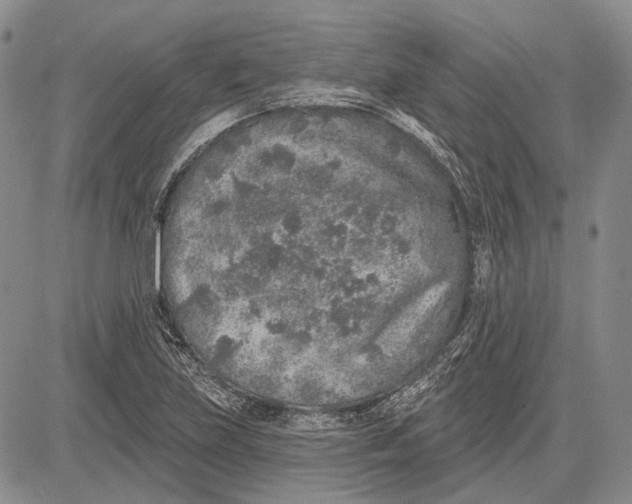 X0000081601219200702051321