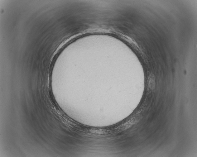 X0000081601220200702051321