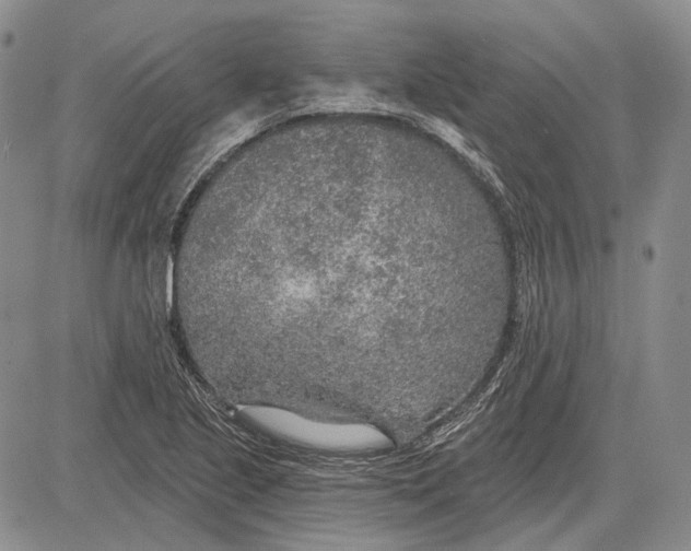 X0000081601221200702051321