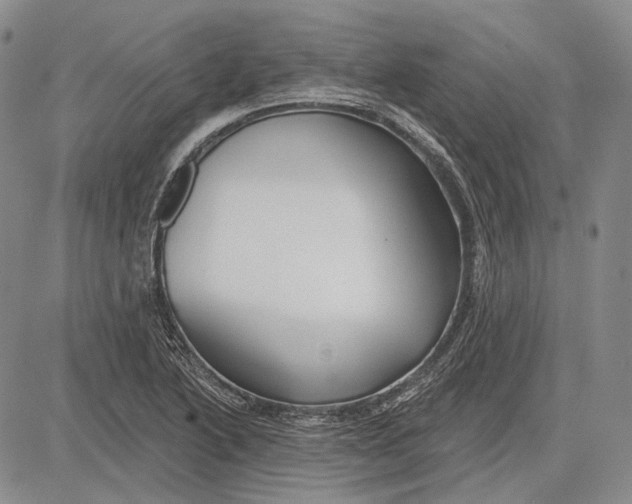 X0000081601222200702051321