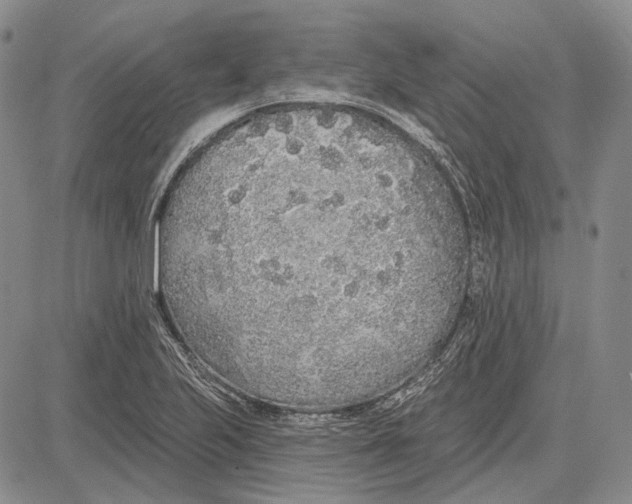 X0000081601223200702051321