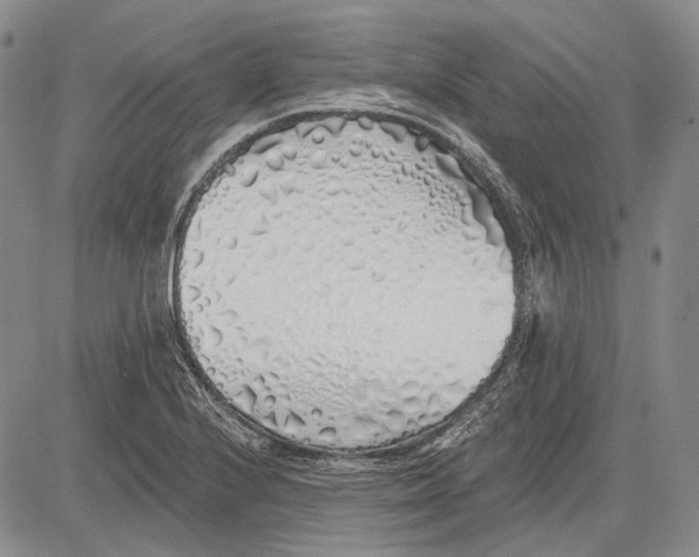 X0000081601224200702051321