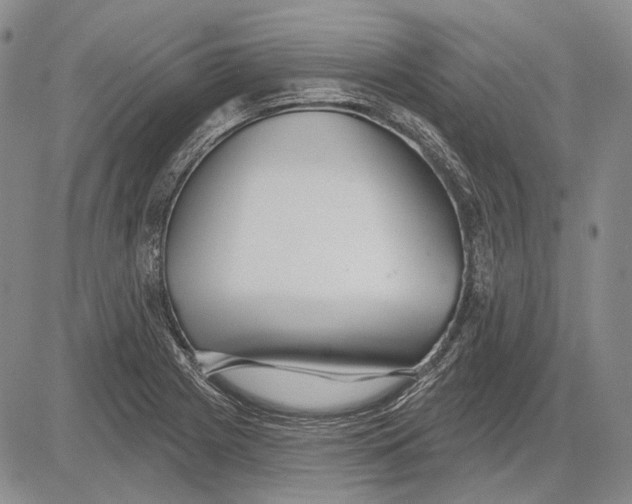 X0000081601225200702051321