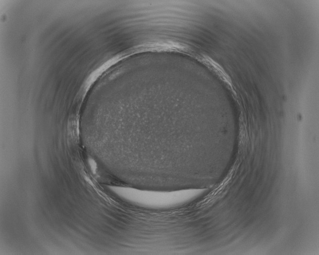 X0000081601226200702051321