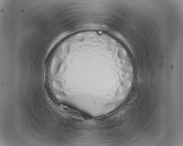 X0000081601227200702051321