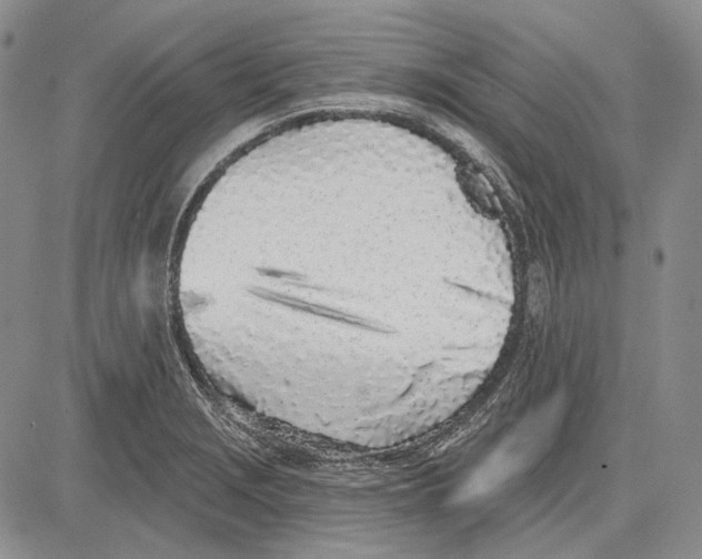 X0000081601229200702051321