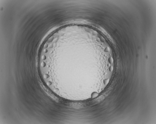 X0000081601232200702051321