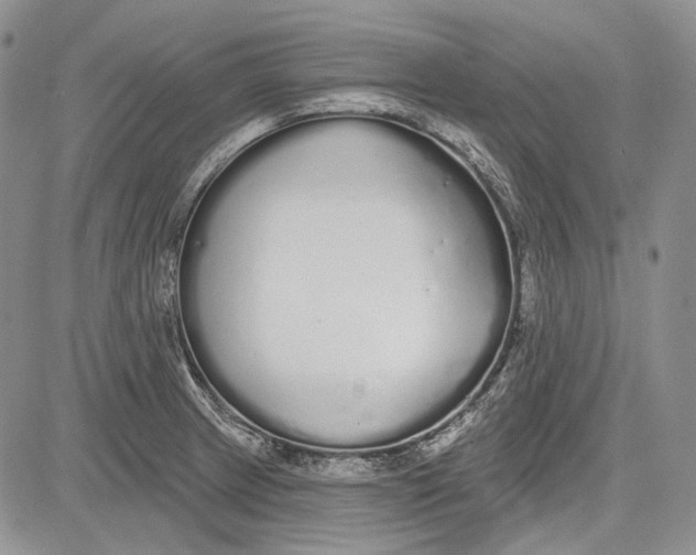 X0000081601233200702051321