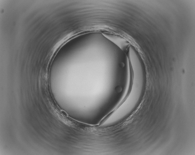 X0000081601234200702051321