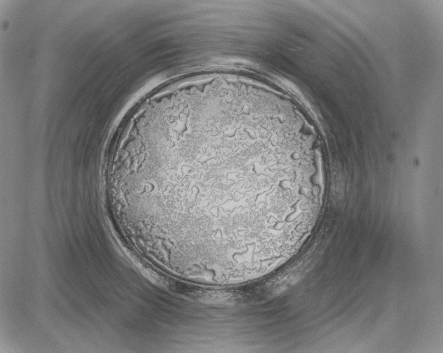 X0000081601235200702051321