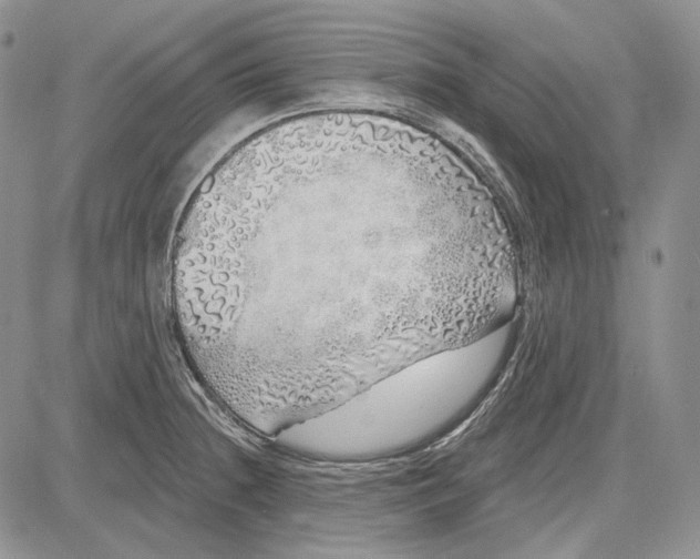 X0000081601236200702051321