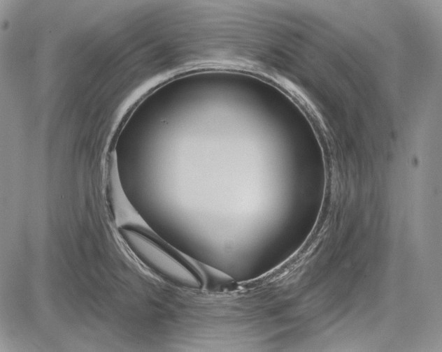 X0000081601238200702051321