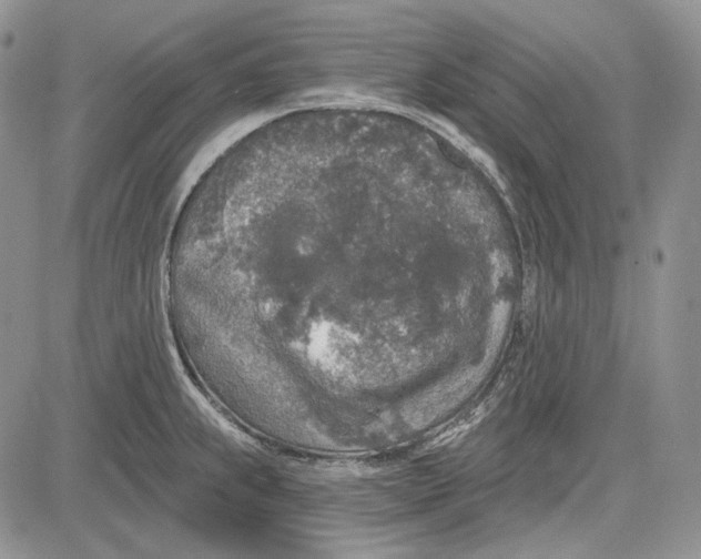 X0000081601239200702051321