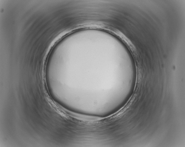 X0000081601240200702051321