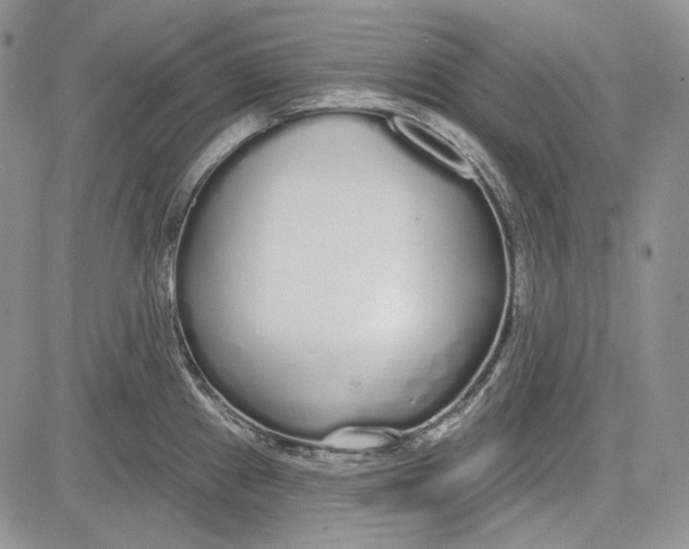 X0000081601241200702051321