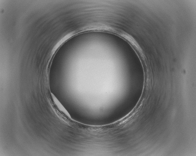 X0000081601242200702051321