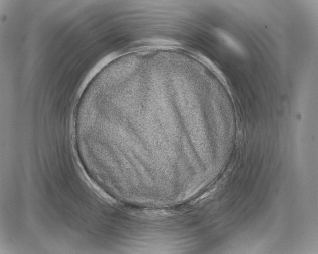 X0000081601243200702051321