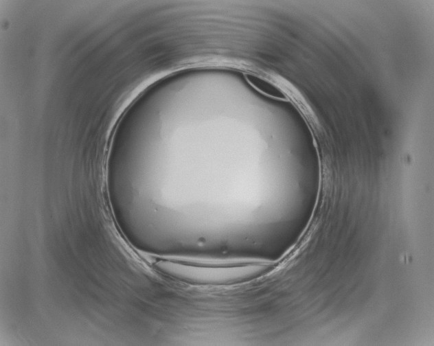 X0000081601244200702051321