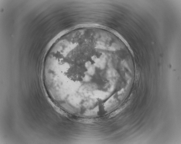 X0000081601245200702051321