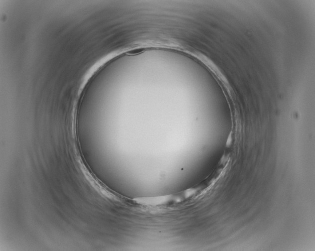 X0000081601246200702051321