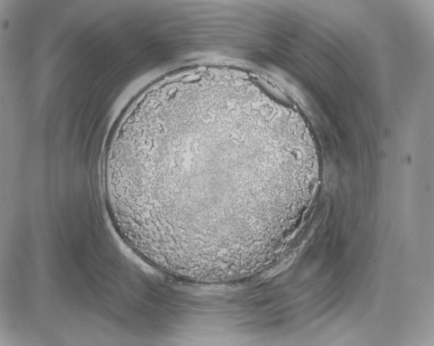 X0000081601247200702051321