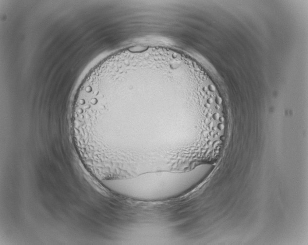 X0000081601248200702051321