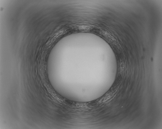 X0000081601249200702051320