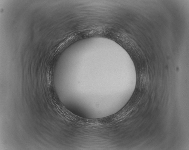 X0000081601250200702051320