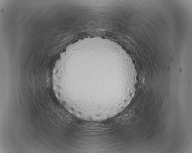 X0000081601252200702051320