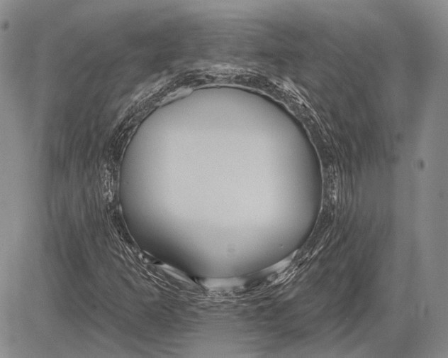 X0000081601253200702051320