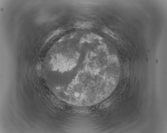 X0000081601254200702051320