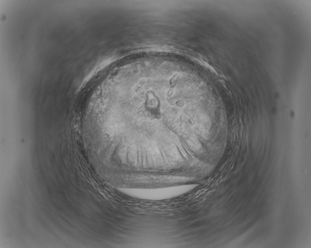 X0000081601255200702051320