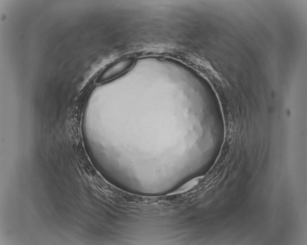 X0000081601256200702051320