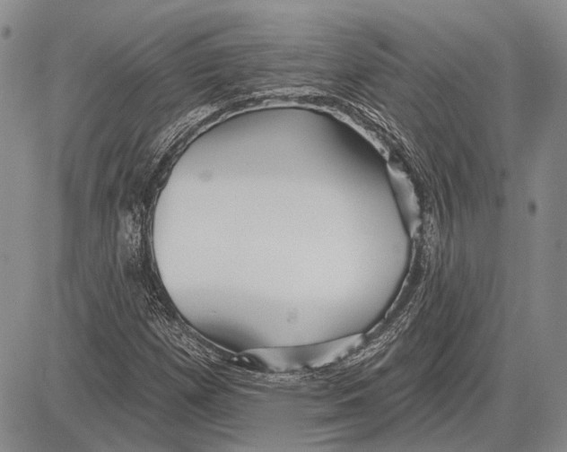 X0000081601257200702051320