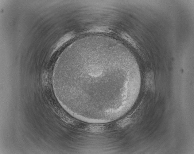 X0000081601258200702051320