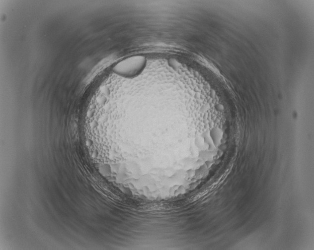 X0000081601259200702051320