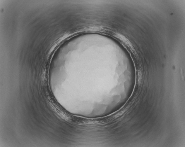 X0000081601260200702051320