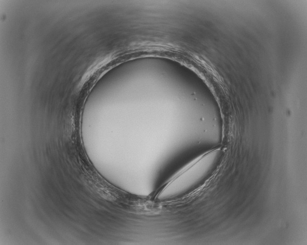 X0000081601261200702051320