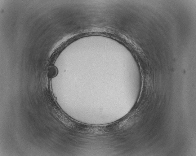 X0000081601262200702051320