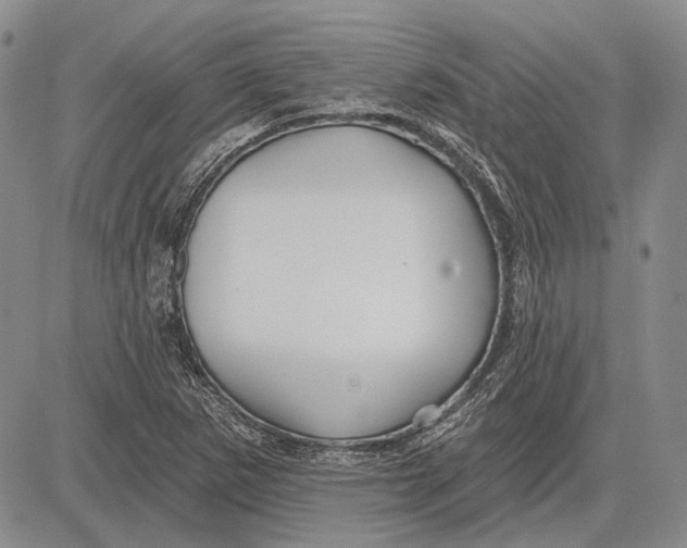 X0000081601265200702051320