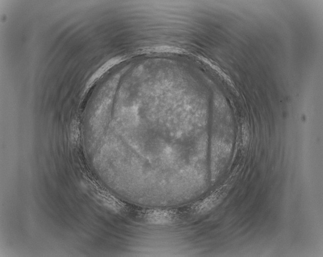 X0000081601266200702051320