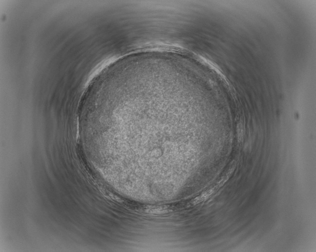 X0000081601267200702051320